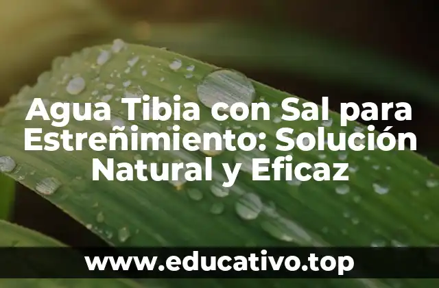 Agua Tibia con Sal para Estreñimiento: Solución Natural y Eficaz