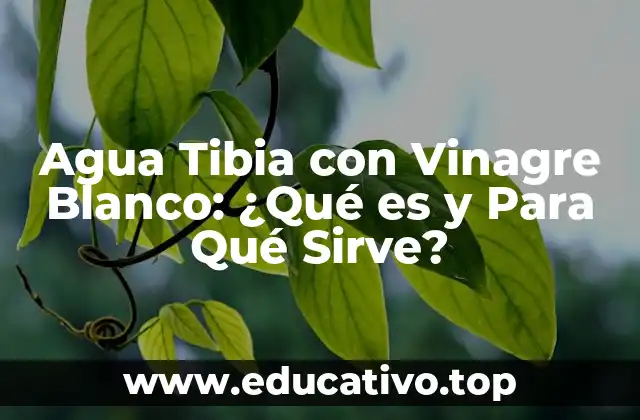 Agua Tibia con Vinagre Blanco: ¿Qué es y Para Qué Sirve?
