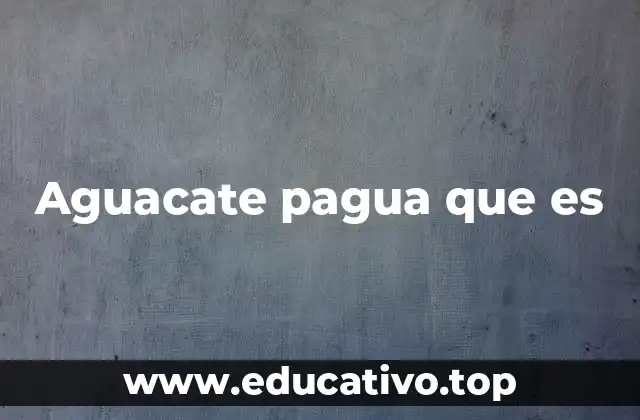 Aguacate pagua que es