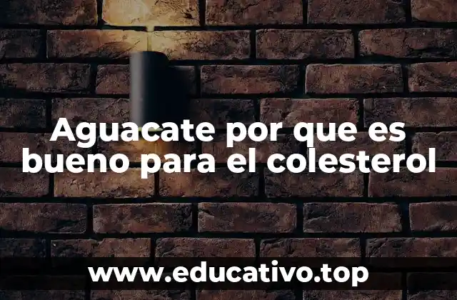 Aguacate por que es bueno para el colesterol