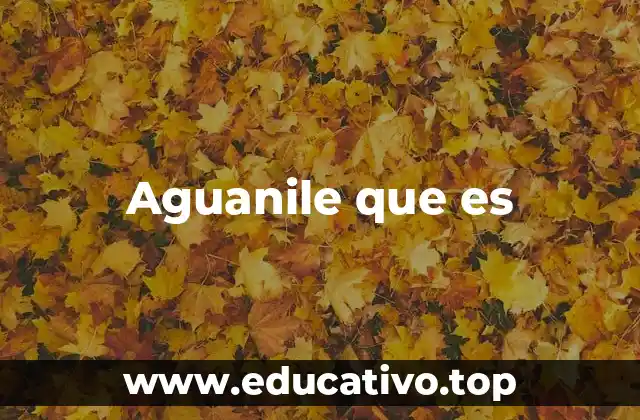 Aguanile que es
