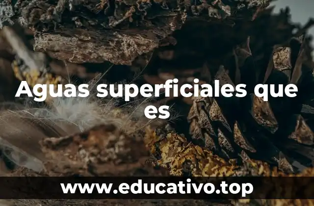 Aguas superficiales que es