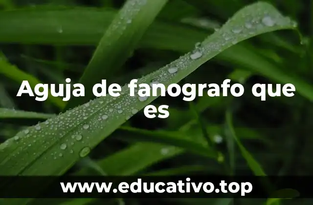 El papel de la aguja en la evolución de la grabación de sonido