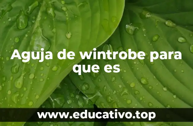 Aguja de wintrobe para que es