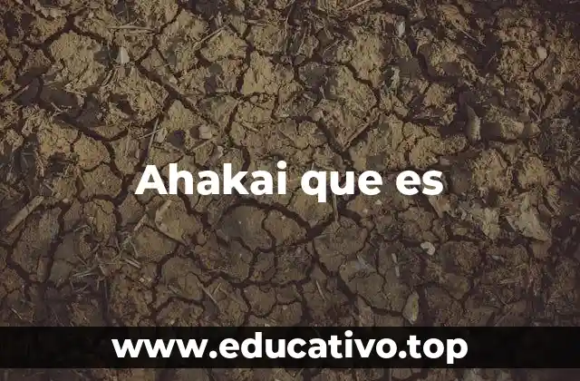 Ahakai que es