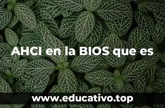 AHCI en la BIOS que es