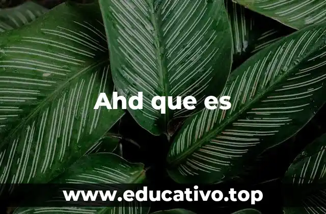 Ahd que es