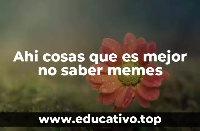 Ahi cosas que es mejor no saber memes