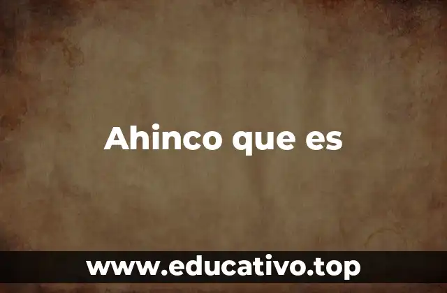 Ahinco que es