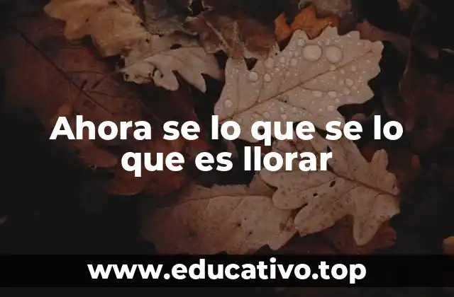 Ahora se lo que se lo que es llorar