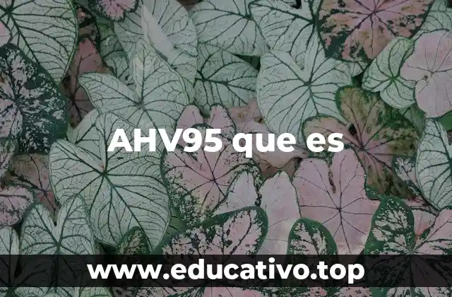 AHV95 que es