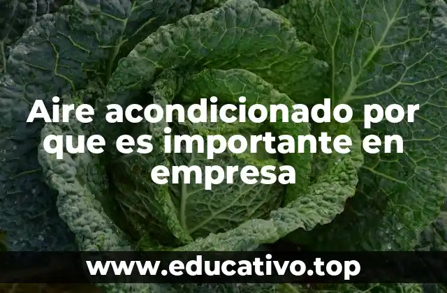 Aire acondicionado por que es importante en empresa
