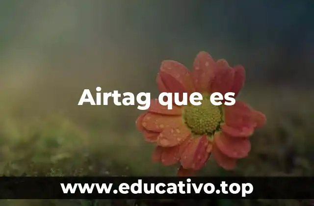 Airtag que es