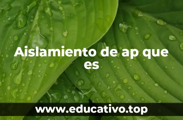 El concepto detrás del aislamiento de ap
