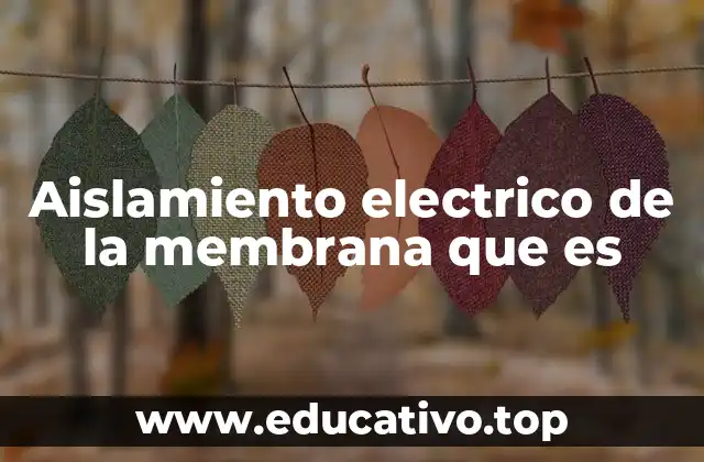 Aislamiento electrico de la membrana que es