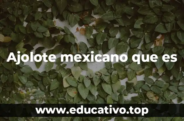 Ajolote mexicano que es