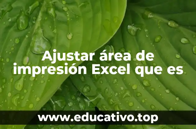 Ajustar área de impresión Excel que es