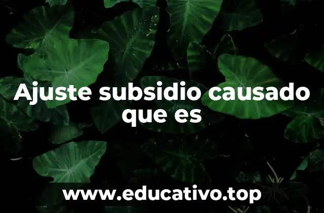 Ajuste subsidio causado que es