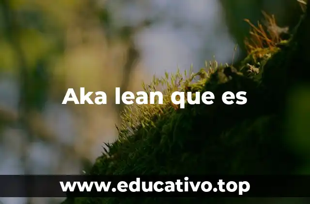 Aka lean que es