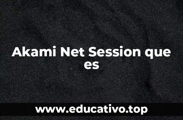 Akami Net Session que es