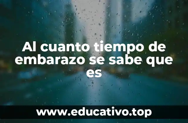 Al cuanto tiempo de embarazo se sabe que es