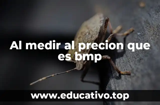 Al medir al precion que es bmp