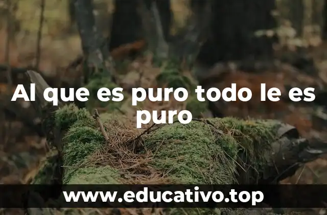 La pureza como filtro de la realidad