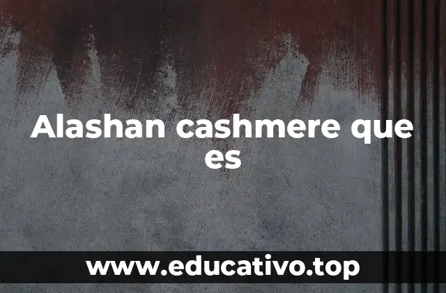 Alashan cashmere que es