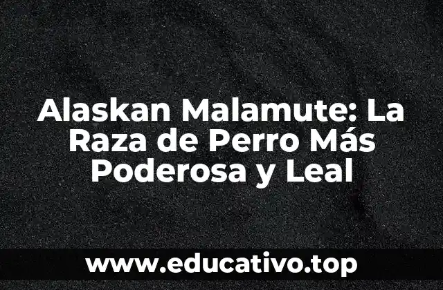 Alaskan Malamute: La Raza de Perro Más Poderosa y Leal
