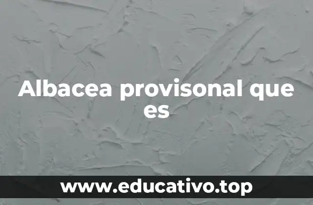 Albacea provisonal que es