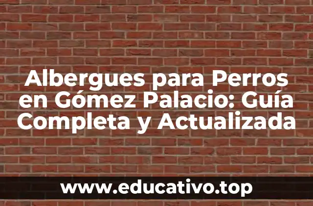 Albergues para Perros en Gómez Palacio: Guía Completa y Actualizada