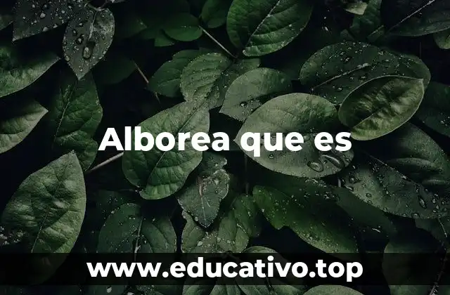 La alborea como símbolo de transición