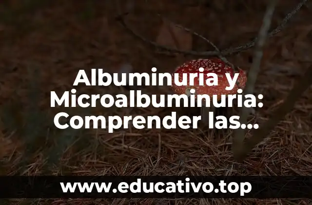 Albuminuria y Microalbuminuria: Comprender las Pérdidas de Proteínas en la Orina