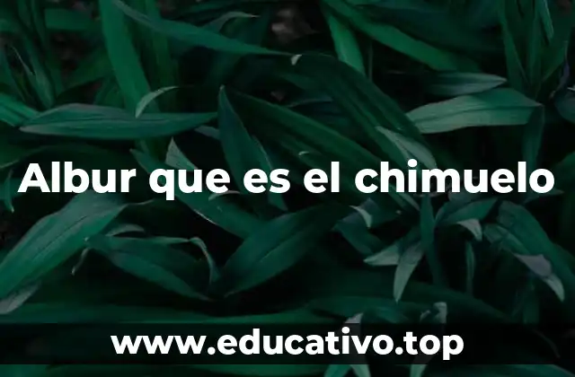 Albur que es el chimuelo