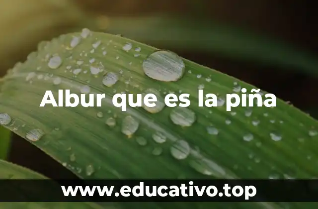 Albur que es la piña