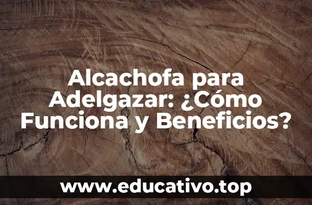 Alcachofa para Adelgazar: ¿Cómo Funciona y Beneficios?