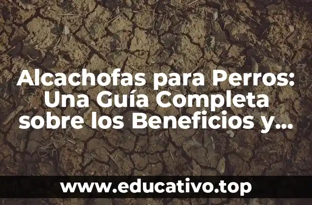 Alcachofas para Perros: Una Guía Completa sobre los Beneficios y Riesgos
