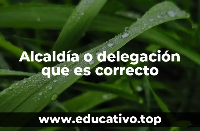 Alcaldía o delegación que es correcto