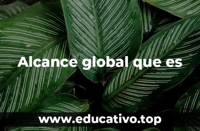 Alcance global que es