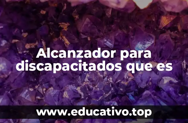 Alcanzador para discapacitados que es