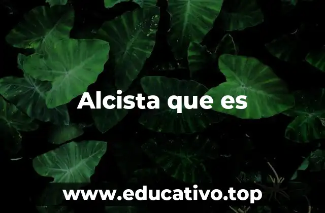 Alcista que es