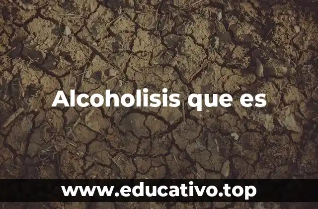 Alcoholisis que es