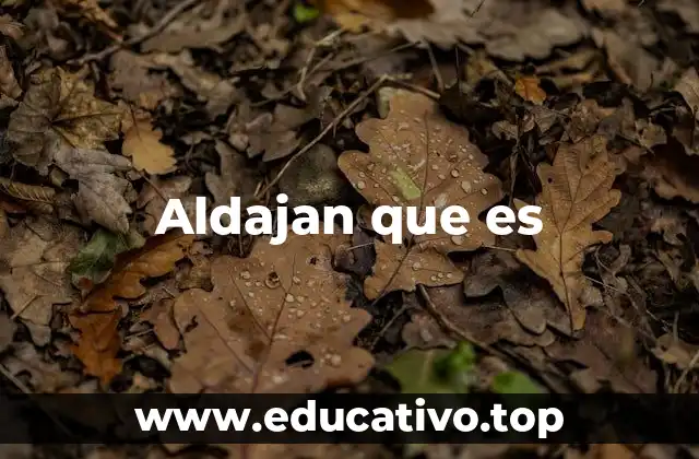 Aldajan que es