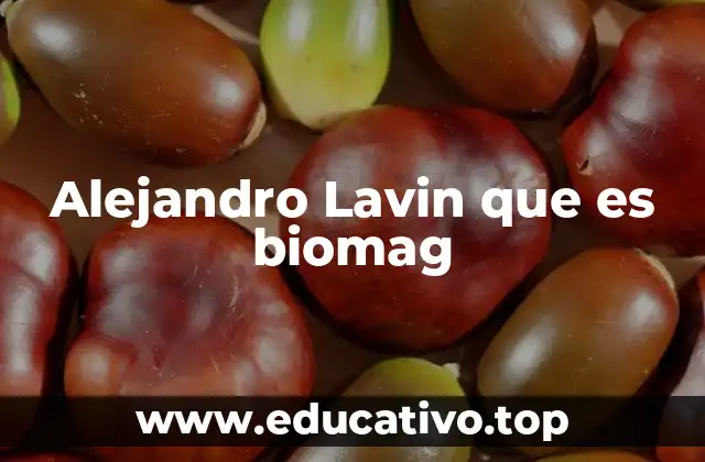 Alejandro Lavin que es biomag