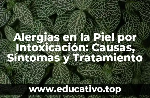 Alergias en la Piel por Intoxicación: Causas, Síntomas y Tratamiento