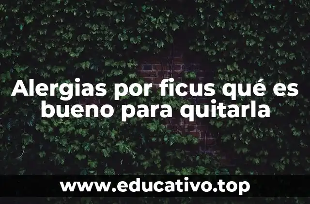 Alergias por ficus qué es bueno para quitarla
