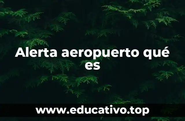 Alerta aeropuerto qué es