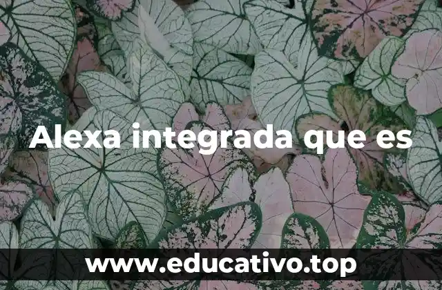 Alexa integrada que es