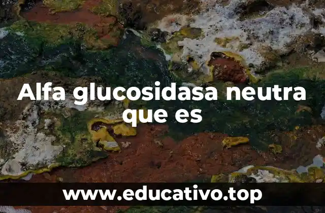 Alfa glucosidasa neutra que es
