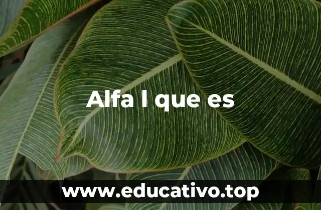 Alfa l que es